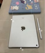 iPad成色95新，指纹正常，电池还有98%的寿命！！