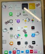 ipad air2纯原 爱思全绿 个人卖家